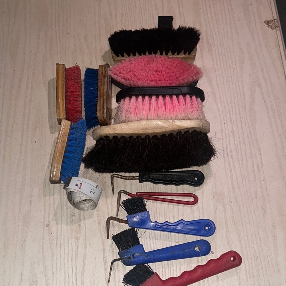 Assorted Cleaning Brushes and Tools for horses